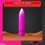 Female Purse Vibrator RSV-004